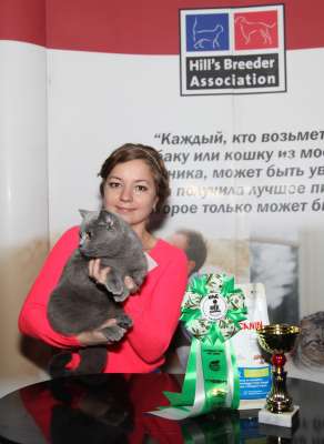 �������� ����� '������� ���-�����' 30 ������-1 ������� 2013., ������������ ��� 2285